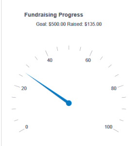 fundraising dashboard
